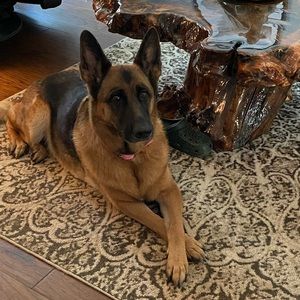 Meet your Posher, Billie